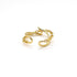 Double chain ring