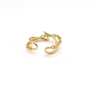 Double chain ring